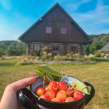 Roubenka U Oli *