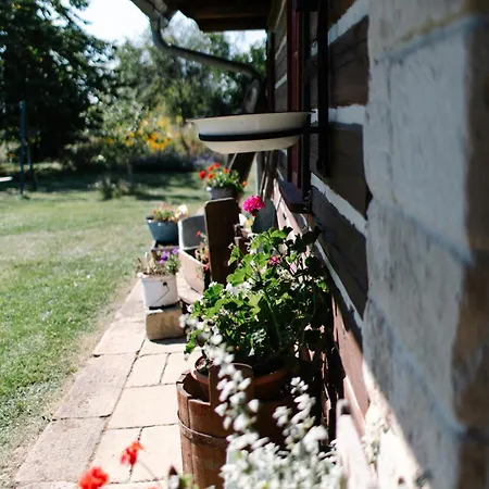 Roubenka U Oli Holiday home *