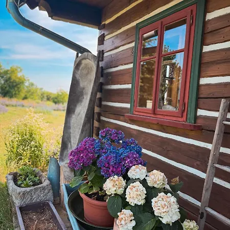 Holiday home Roubenka U Oli *