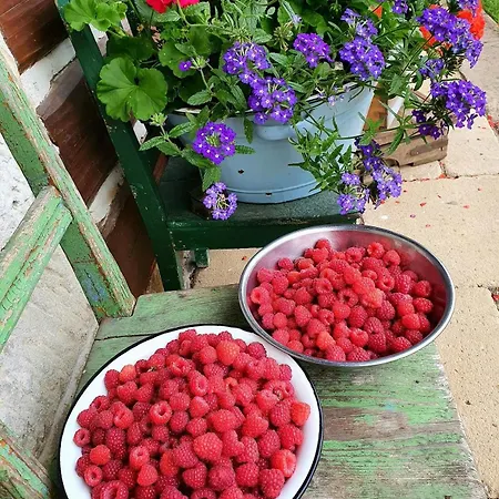 Holiday home Roubenka U Oli