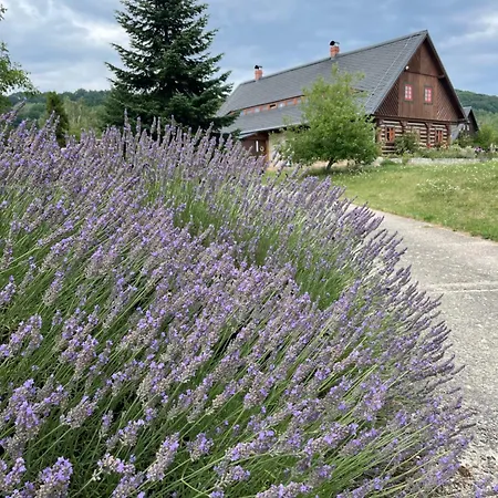 Roubenka U Oli Holiday home *